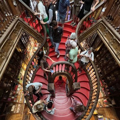 chambers-architects-porto-bookstore-lello-staircase