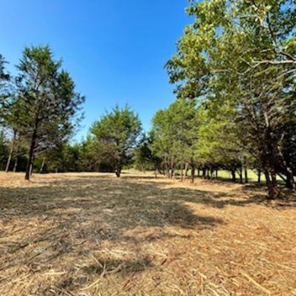 Ranch on Lake Bois d'Arc in Fannin County Stephen B. Chambers