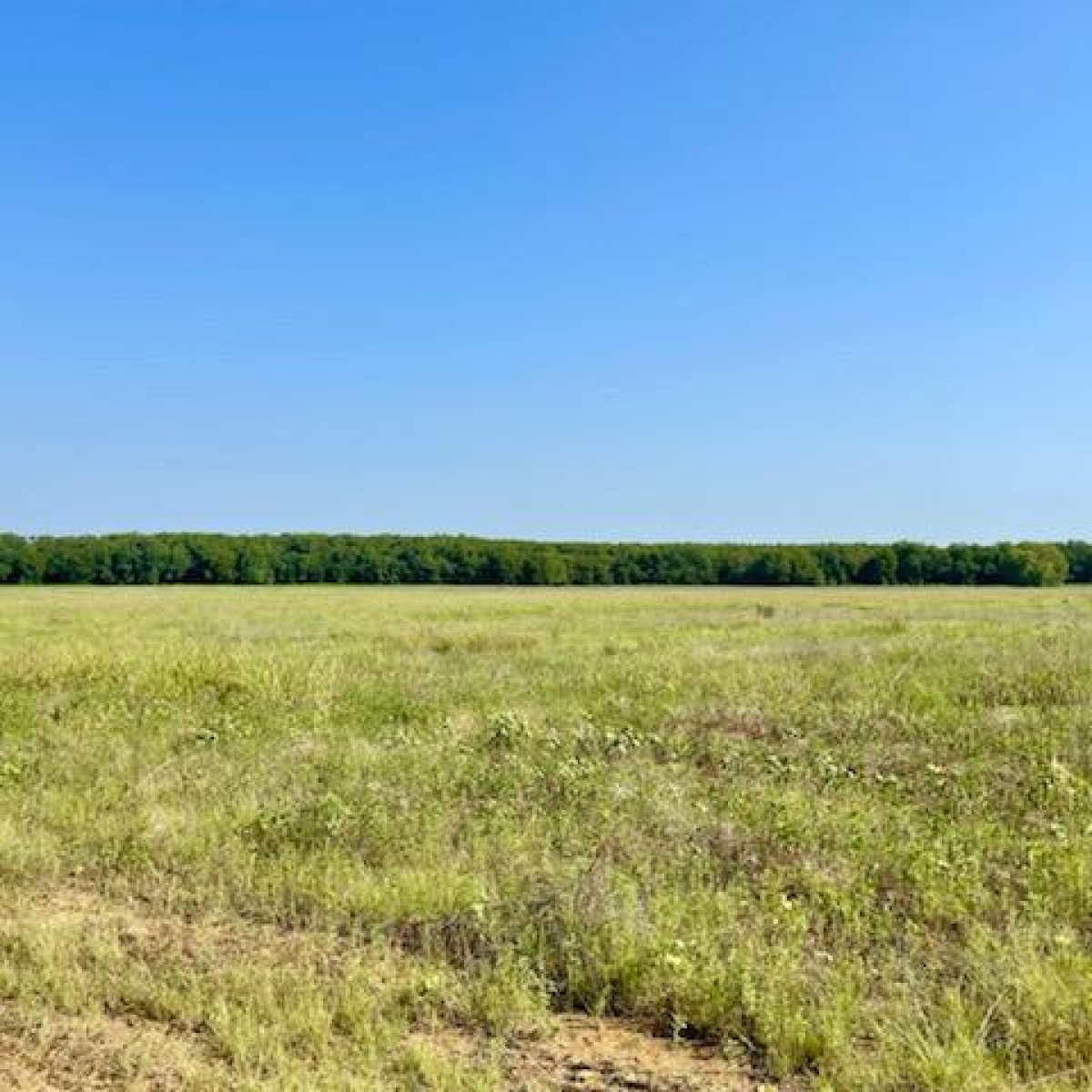 Ranch on Lake Bois d'Arc in Fannin County Stephen B. Chambers