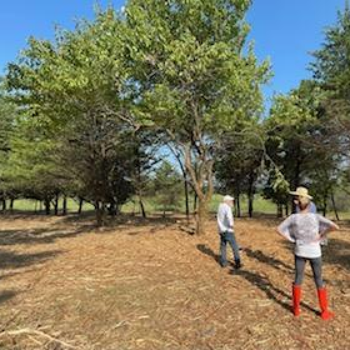 Ranch on Lake Bois d'Arc in Fannin County Stephen B. Chambers