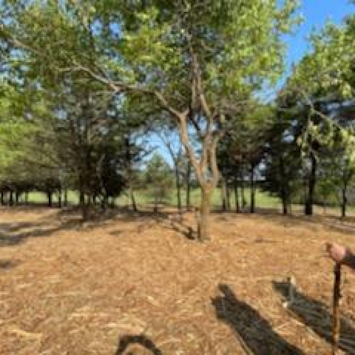 Ranch on Lake Bois d'Arc in Fannin County Stephen B. Chambers